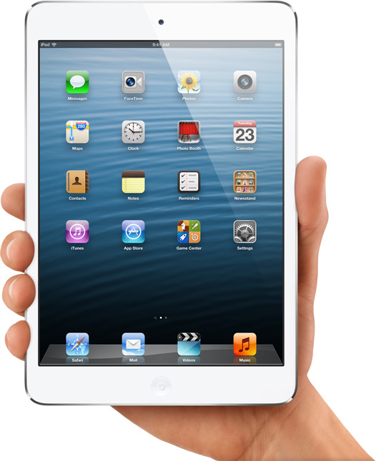 iPad mini (7).jpg