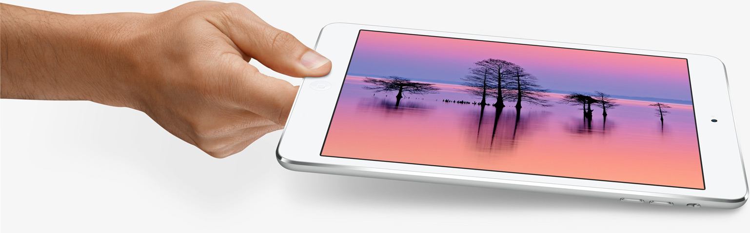 display_ipadmini2.jpg